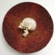 wall sculpture of felt and plastic scull